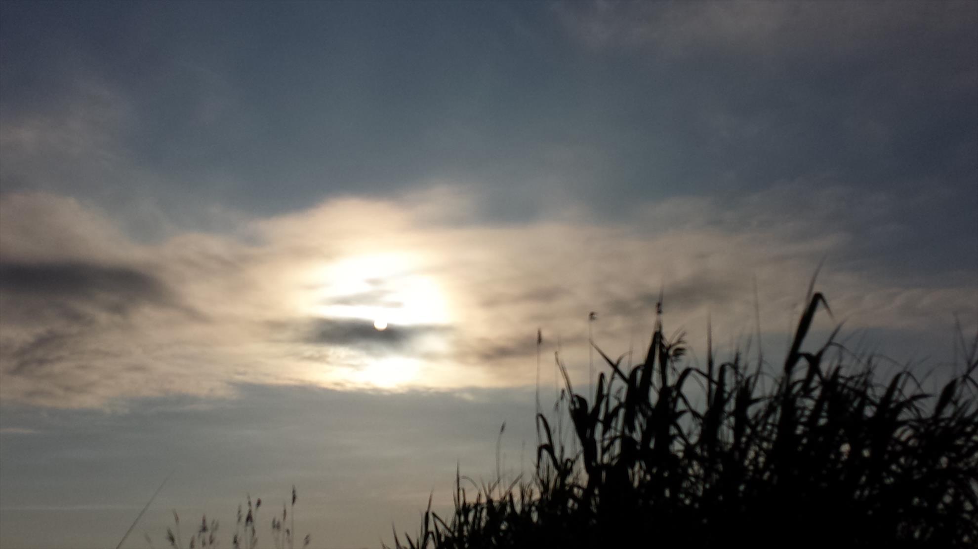 Lupsanu 1 11 mai 2014 - 20140511072232.jpg